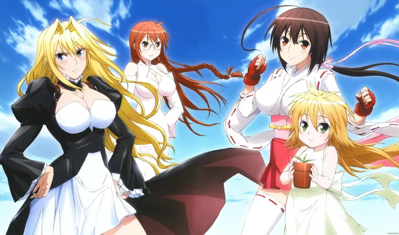 Sekirei est disponible sur Hulu en version doublée anglaise