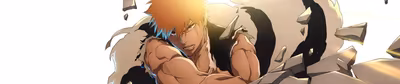 Bleach: TYBW - The Calamity : Pourquoi la franchise fait le buzz