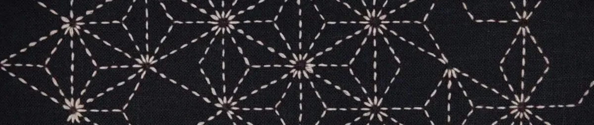 Le court métrage avant-gardiste « Ran » d'Eri Kinoshita est désormais disponible en streaming