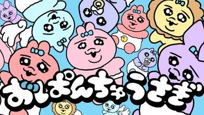 Panties Rabbit Song