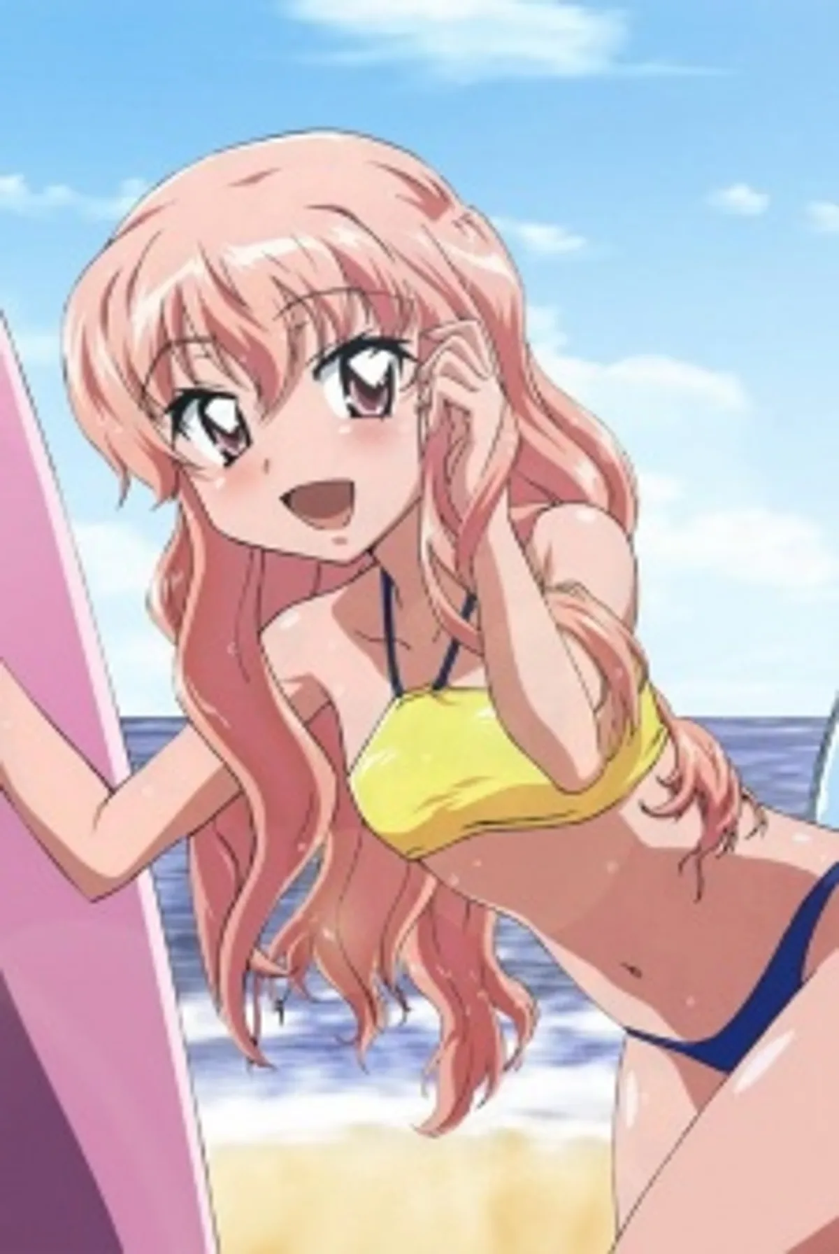 L'OVA de The Familiar of Zero est maintenant disponible sur HIDIVE