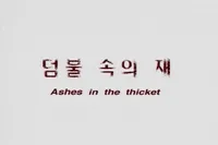 Ashes In The Thicket
