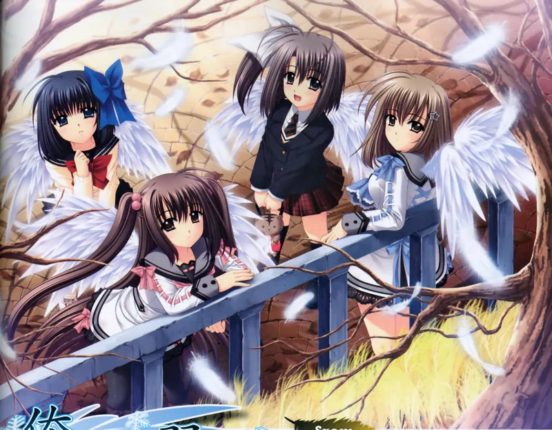 La série ecchi harem « We Without Wings » est désormais disponible sur Crunchyroll et Hulu
