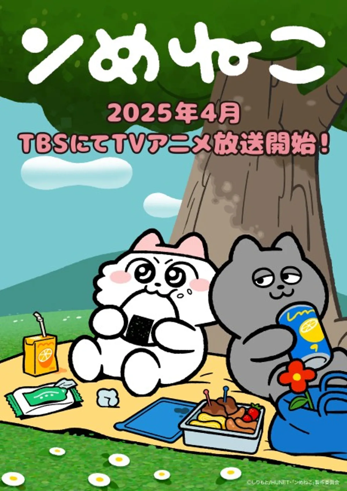 Nmeneko dévoile sa comédie féline avec sa première bande-annonce