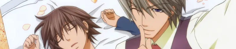 Junjo Romantica 3 est maintenant disponible en VF