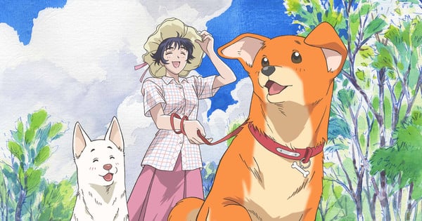 SkySet Entertainment va diffuser et doubler l'anime Go Forward