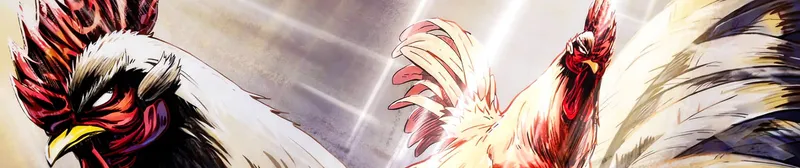 Rooster Fighter est diffusé sur Hulu avec doublage anglais