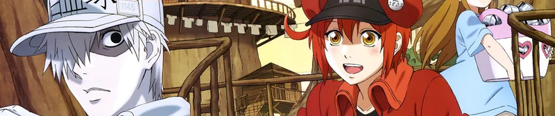 Cells at Work! débarque sur Crunchyroll & Netflix