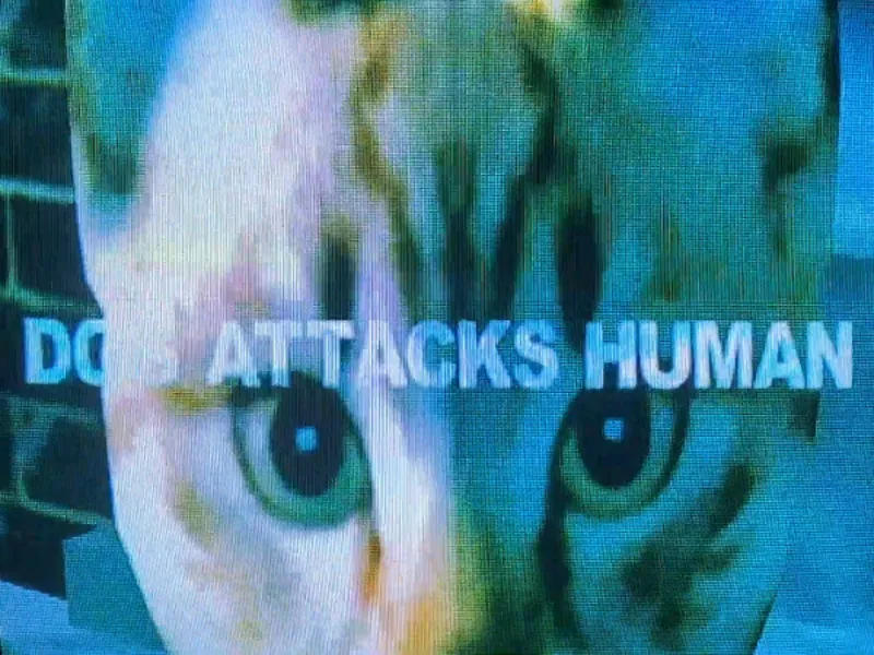Le clip « Dog Attacks Human » de NINJAS est désormais en streaming