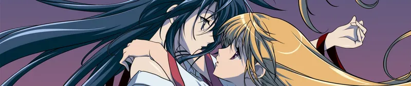 Destiny of the Shrine Maiden est maintenant disponible sur HIDIVE