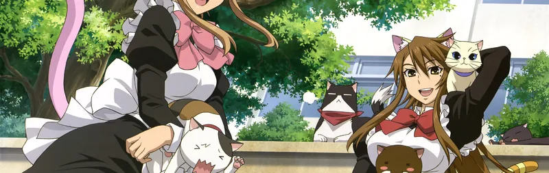 Nyan Koi! est désormais disponible sur HIDIVE et Hulu