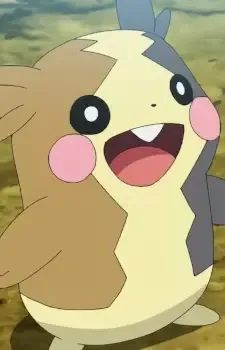 Morpeko