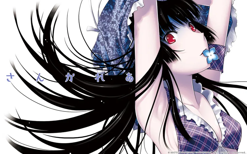 Sankarea: Undying Love est désormais disponible sur Hulu et Crunchyroll