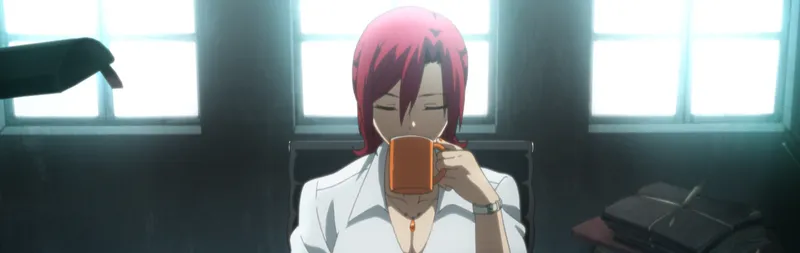 The Garden of Sinners: Future Gospel est désormais disponible sur Crunchyroll et Amazon