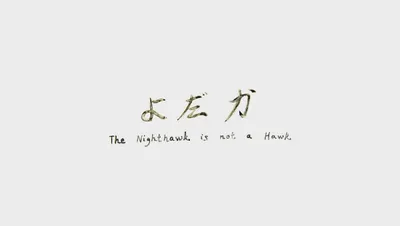The Nighthawk Is Not a Hawk
