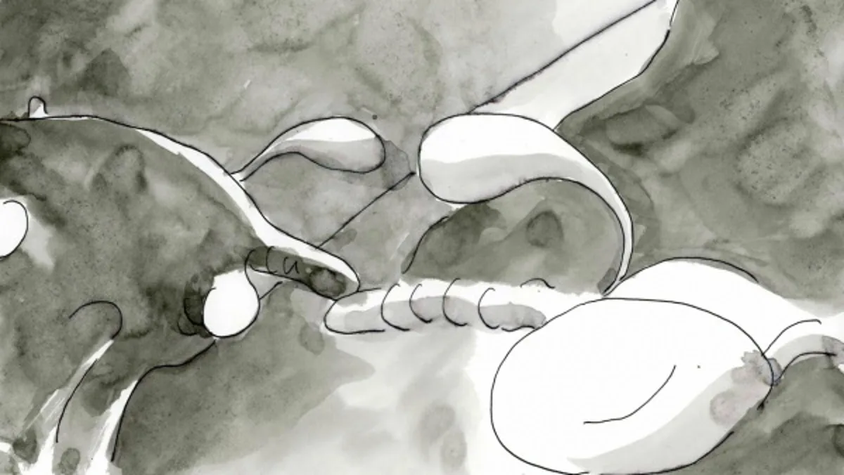 Le film d'avant-garde 'The Story of a Motorbike' est disponible