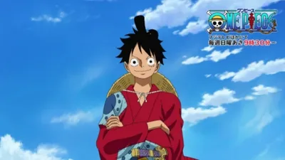 One Piece: Infection Prevention Message from the Straw Hat Pirates