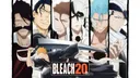 Bleach 20th Anime Anniversary